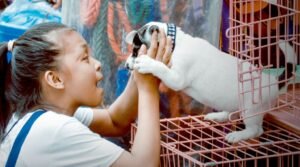 dog adoption