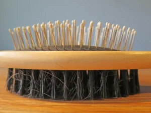 Dog hair caught in a clothes brush